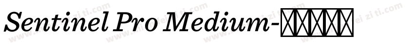 Sentinel Pro Medium字体转换